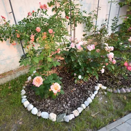 Apartmaji Lejardin Skofljica Exterior photo