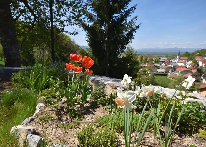 Apartmaji Lejardin