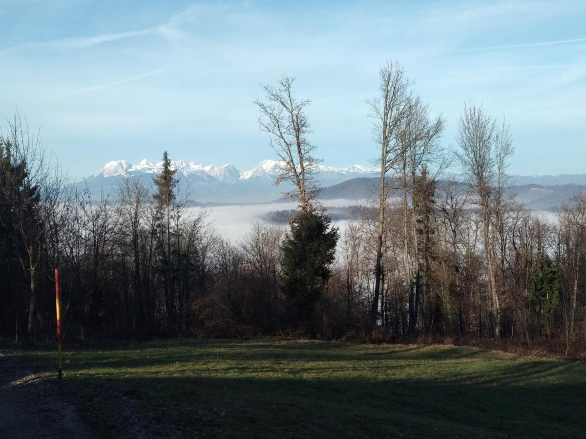 Apartmaji Lejardin * Skofljica