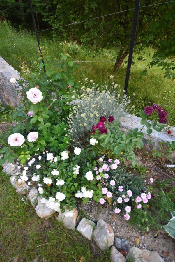 Apartmaji Lejardin Apartment *